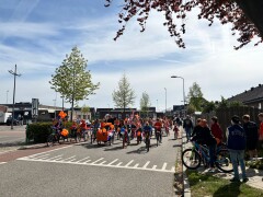 IMG 0995