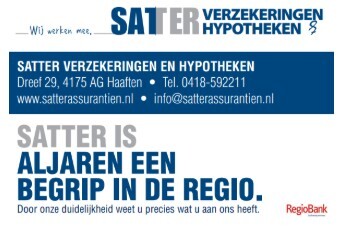 Logo Satter GOUD